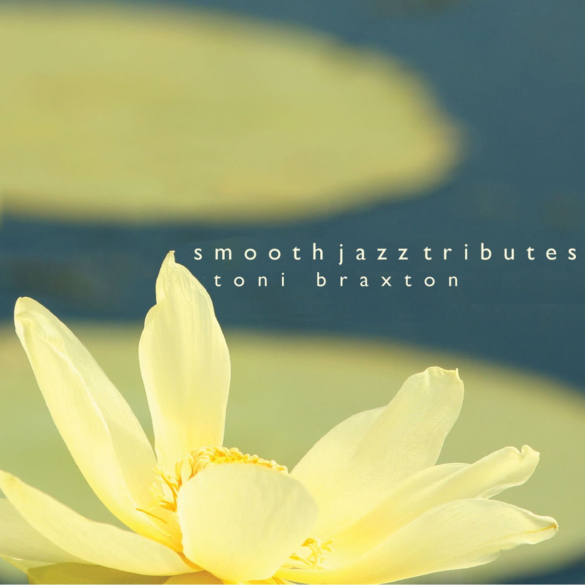 Toni Braxton Smooth Jazz Tribute; Toni Braxton